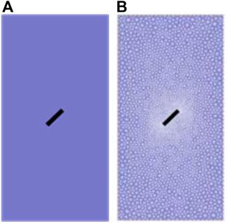 Numerical simulation of creep fracture evolution in fractured rock masses